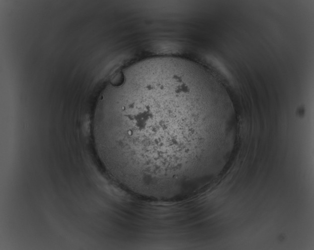X0000091550549200708311356