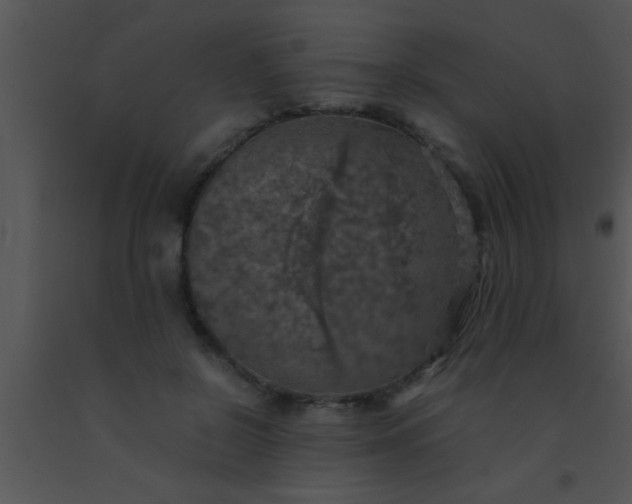 X0000091550550200708311356