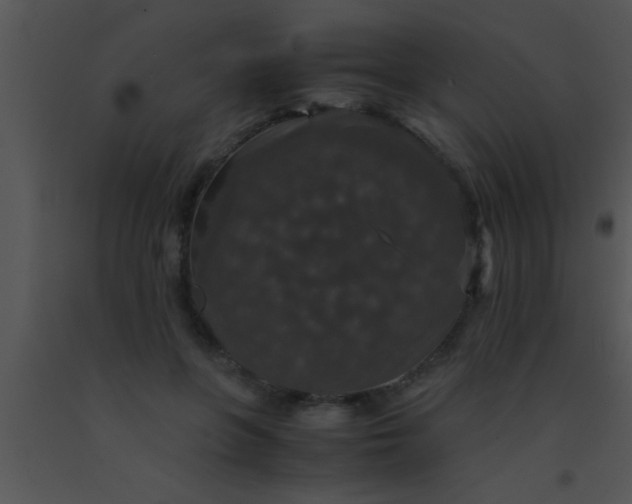 X0000091550551200708311356
