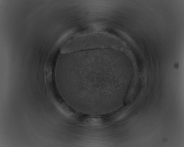 X0000091550552200708311356