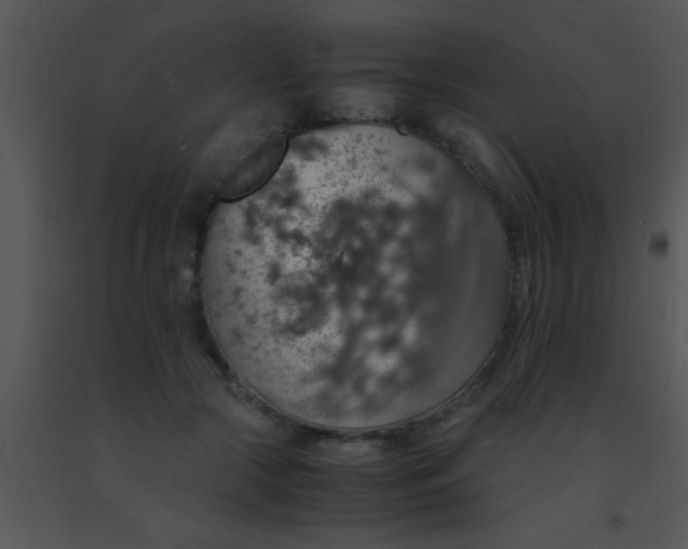 X0000091550553200708311356