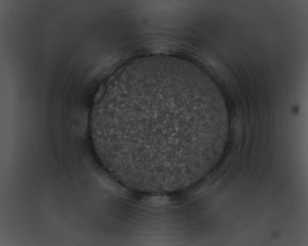X0000091550554200708311356