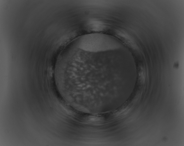 X0000091550555200708311356