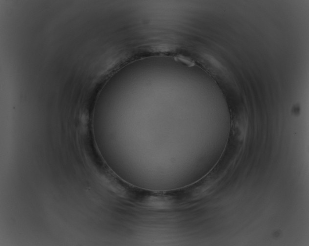 X0000091550556200708311357
