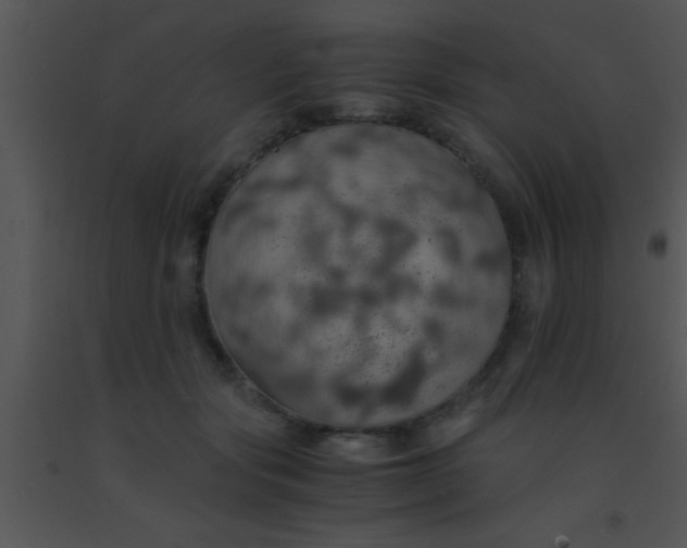 X0000091550557200708311357