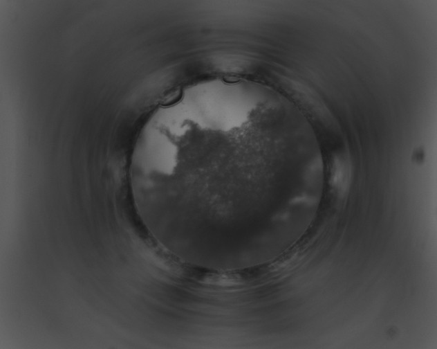 X0000091550559200708311357