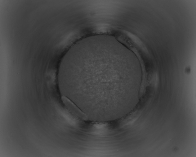 X0000091550560200708311357