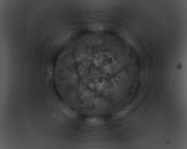 X0000091550561200708311357