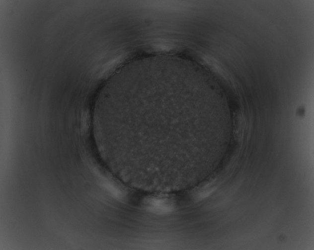 X0000091550563200708311357