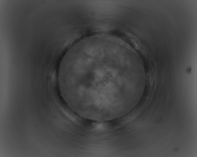 X0000091550564200708311357