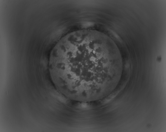 X0000091550565200708311357