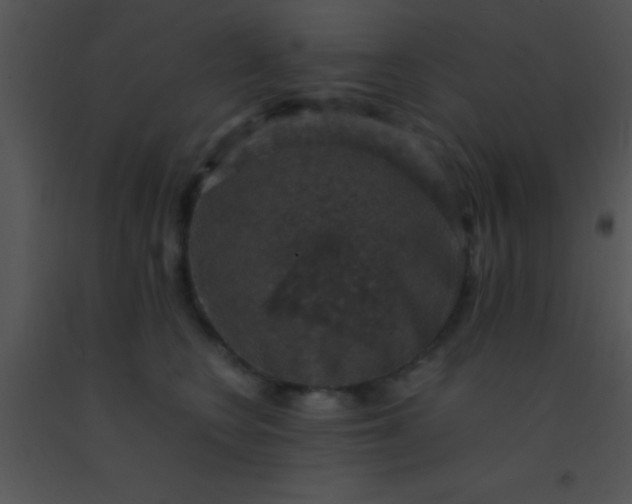 X0000091550566200708311357