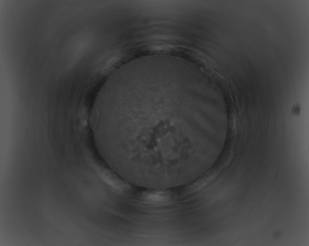 X0000091550567200708311357