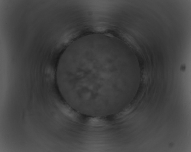 X0000091550568200708311357