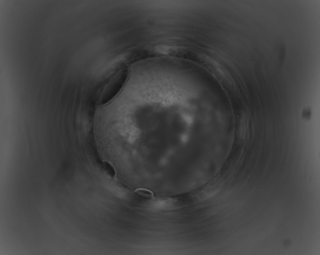 X0000091550569200708311357
