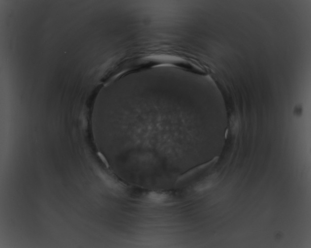 X0000091550570200708311357