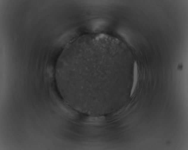 X0000091550571200708311357