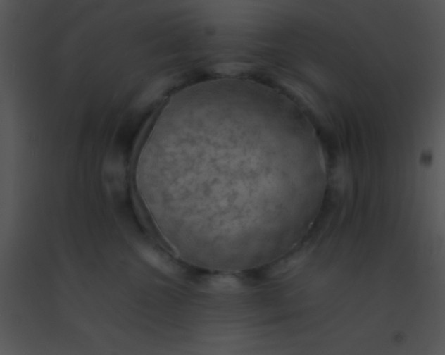 X0000091550572200708311357