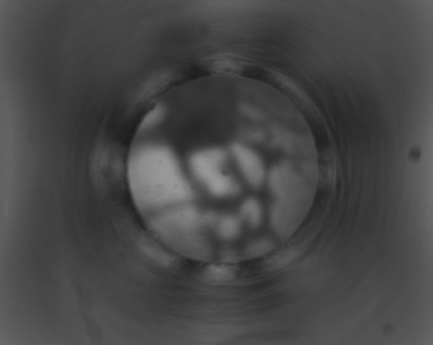 X0000091550573200708311357
