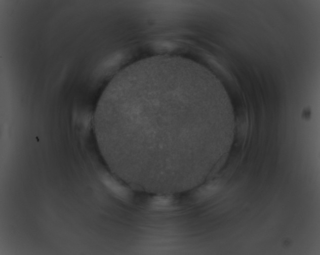 X0000091550574200708311357