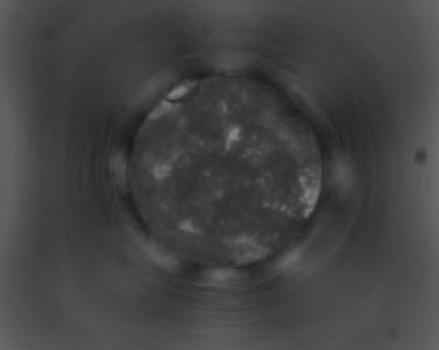X0000091550575200708311357