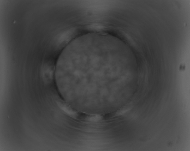 X0000091550576200708311357