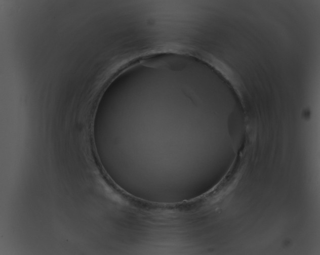 X0000091550577200708311356