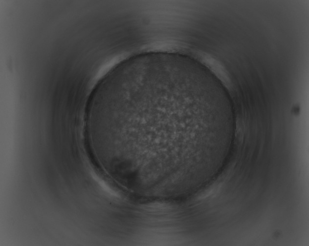 X0000091550578200708311356