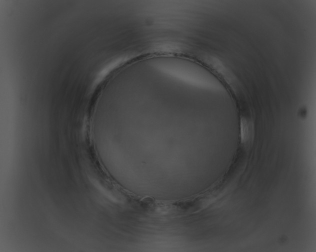 X0000091550579200708311356