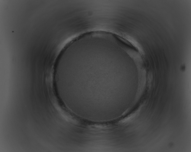 X0000091550580200708311356