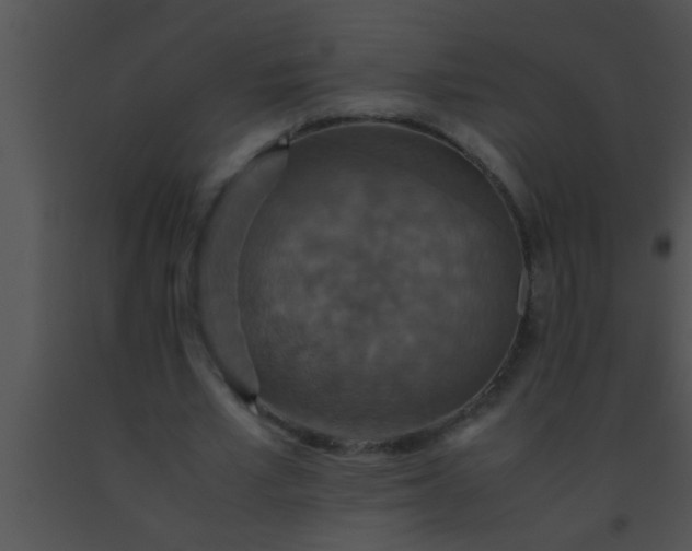 X0000091550581200708311356
