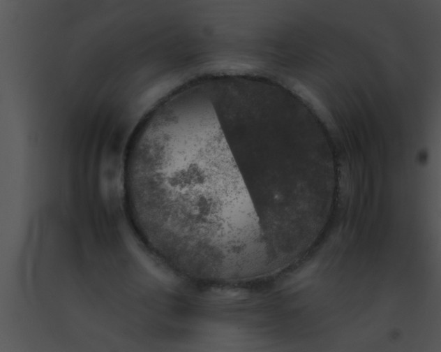 X0000091550582200708311356