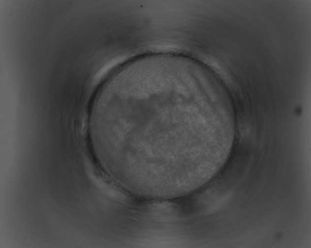 X0000091550583200708311356