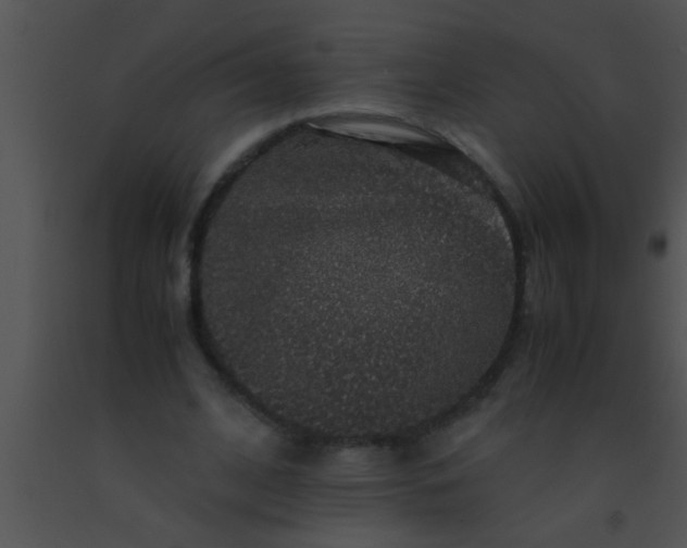 X0000091550584200708311356
