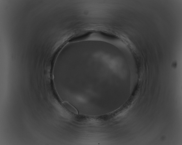 X0000091550585200708311356