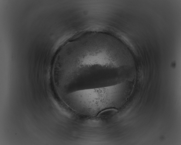 X0000091550586200708311356