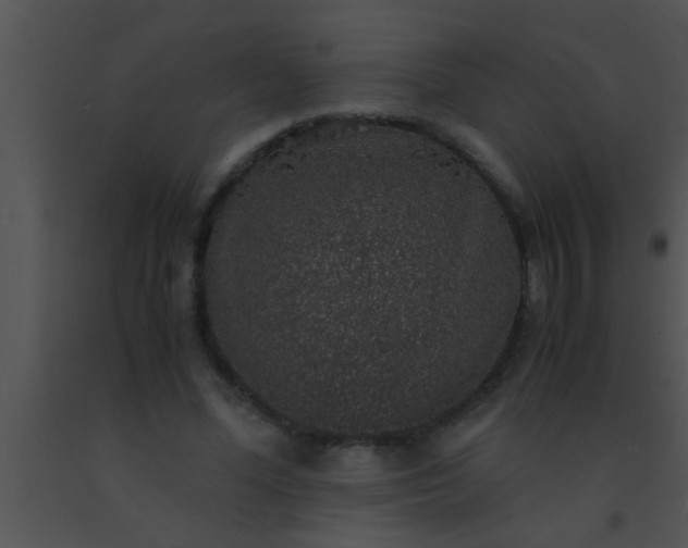 X0000091550588200708311356