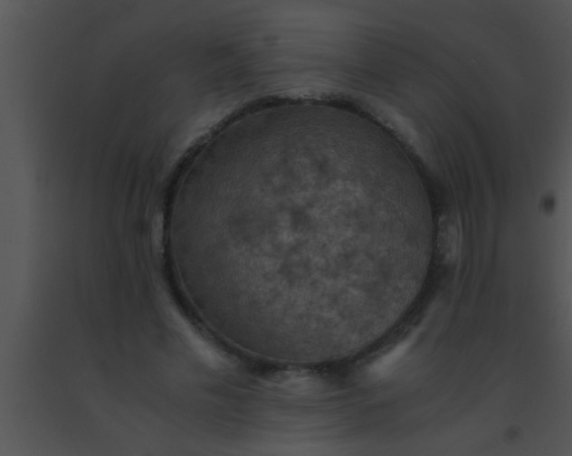 X0000091550589200708311356