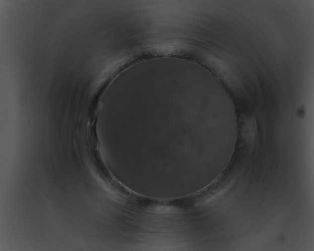 X0000091550590200708311356