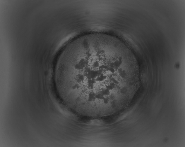X0000091550591200708311356