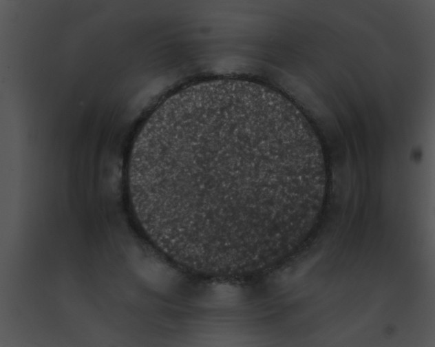 X0000091550592200708311356