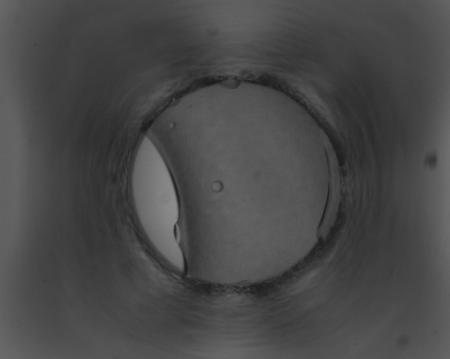 X0000091550593200708311356