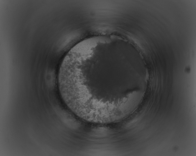X0000091550594200708311356