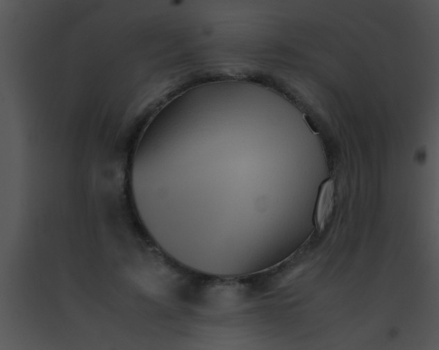 X0000091550595200708311356