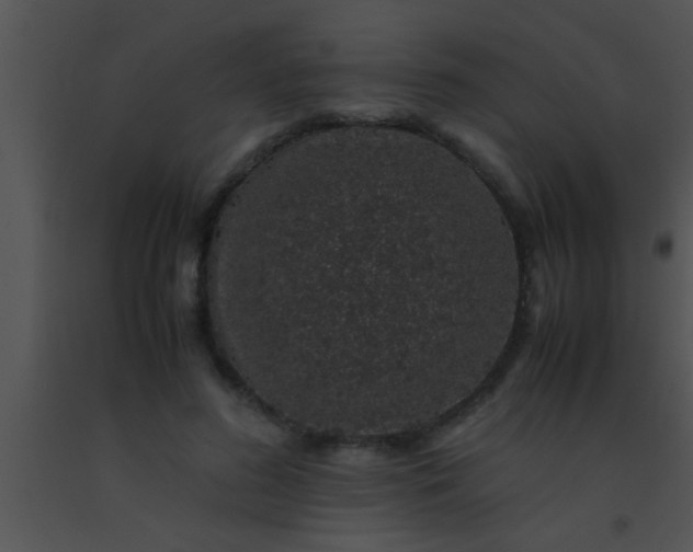 X0000091550596200708311356