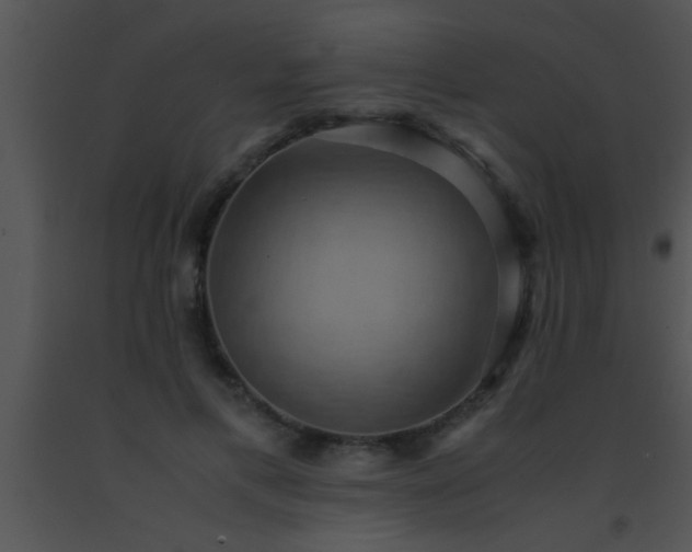 X0000091550597200708311356