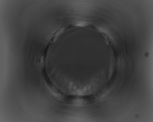 X0000091550598200708311356