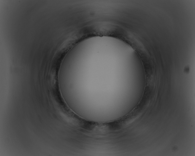 X0000091550599200708311356