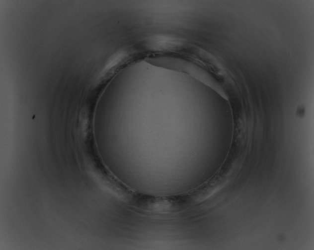 X0000091550600200708311356
