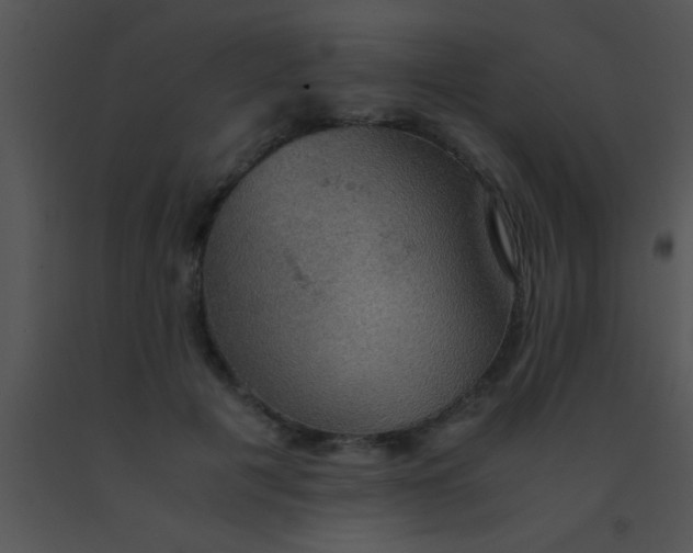 X0000091550601200708311356